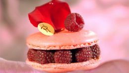 Macaroons Haute Couture.à ­æ¨ï.jpg