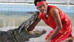 Тайланд,Крокодиловая ферма в Самутпракарне